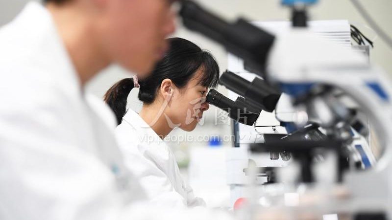 生物试剂采购平台报价系统：揭秘其核心功能与选型要点