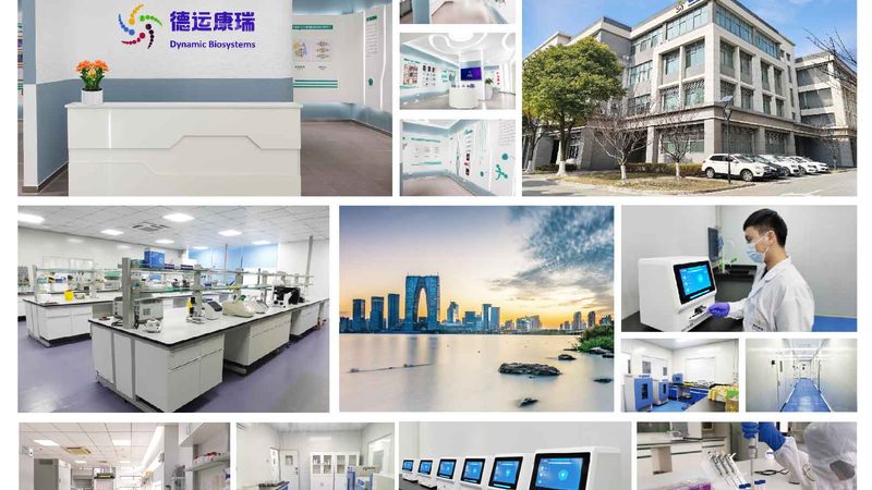CDMO资质审批时间：揭秘审批流程与关键节点