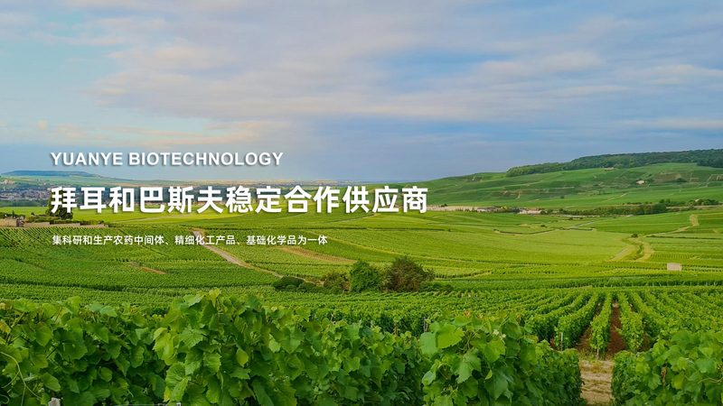小标题：评估效果的关键指标