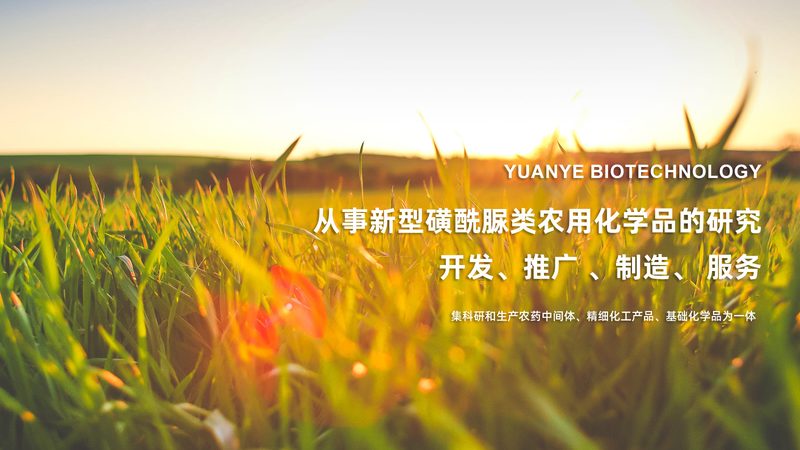 食品加工酶制剂：揭秘其价格背后的秘密**