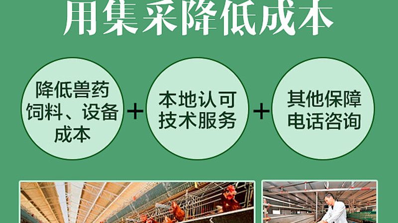 小分子CDMO毒理批样品制备：关键步骤与质量控制**