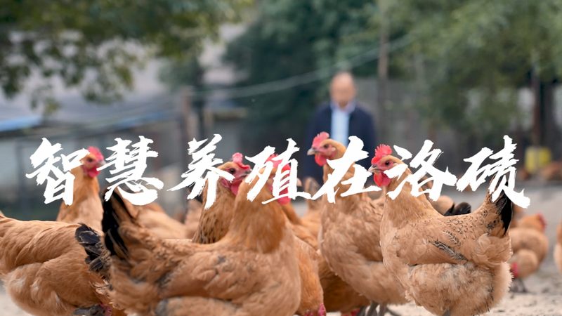 生物药CDMO代工：价格背后的考量因素**