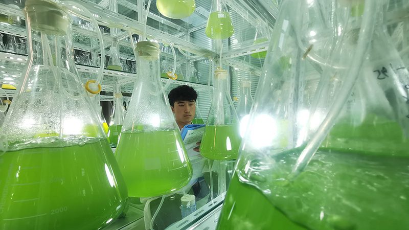 CDMO质量控制流程：揭秘制药生产的关键环节