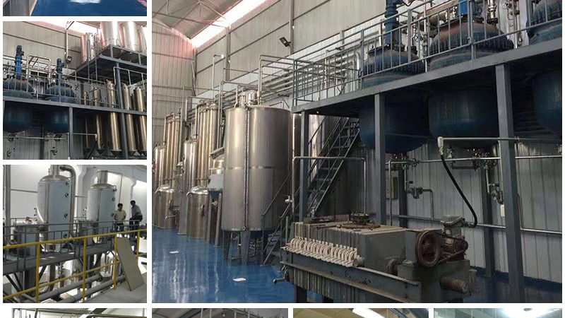 CHO培养基：了解其报价背后的关键因素**